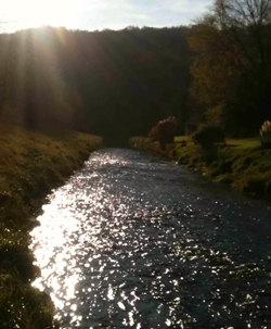 die Sülz hinter dem Institut